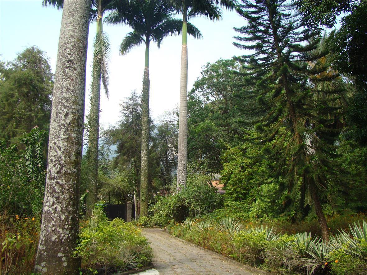 Casa De Campo Dos Sonhos Cachoeiras de Macacu Exterior foto